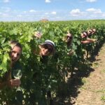 Medoc or Saint Emilion Wine Tasting and Chateau from Bordeaux - Exploring Bordeaux’s Top Wine Regions