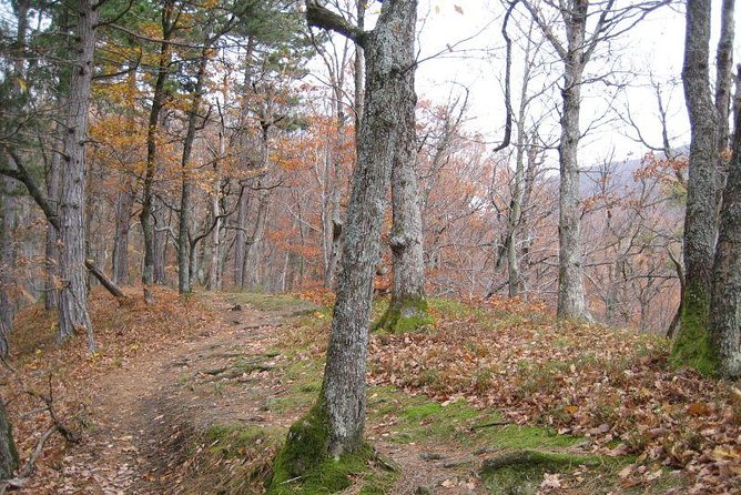 Medvedgrad Fortress: Half Day Guided Walking Tour from Zagreb - Starting at the Heart of Zagreb: British Square