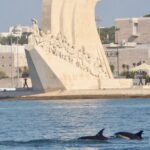 Meet the Lisbon Dolphins - Dolphin Watching in Lisbon - The Small-Group Experience and Guide Expertise