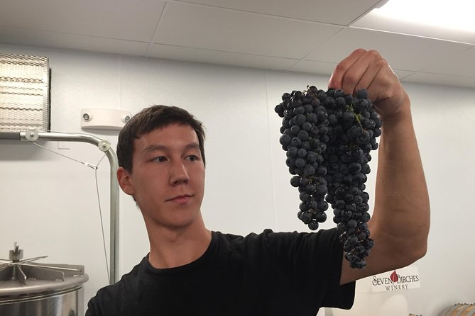 Meet the Winemakers - Seven Birches Winery Tour - Exploring the Location: Seven Birches Winery in Lincoln, NH