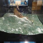 Mel Fisher Maritime Museum Admission Ticket - Visiting the Historic Mel Fisher Heritage Site