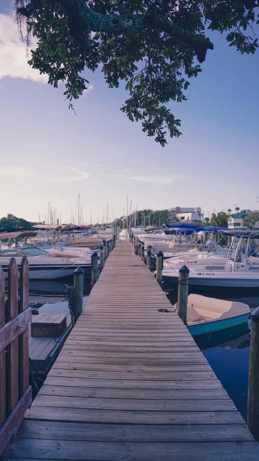 Melbourne: Boat Rental on the Indian River Lagoon - Variety of High-Quality Boats for Different Preferences