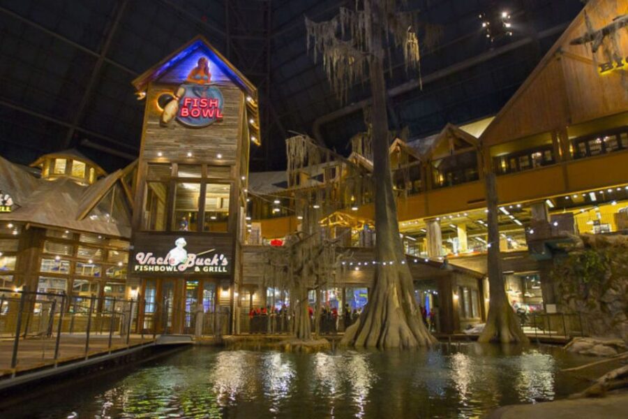 Memphis: Hop-On Hop-Off Sightseeing Bus Tour - Starting Point Near Sun Studio and the Meeting Logistics