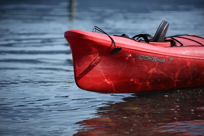 Mendenhall Glacier View Sea Kayaking - Exploring Fritz Cove and the Mendenhall Wetlands