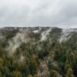 Mendocino County: Pudding Creek Railbikes - Convenient Location at Fort Bragg Depot