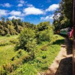 Mendocino County: Skunk Train Pudding Creek Train Ride - Historic Redwoods and Coastal Estuary Views