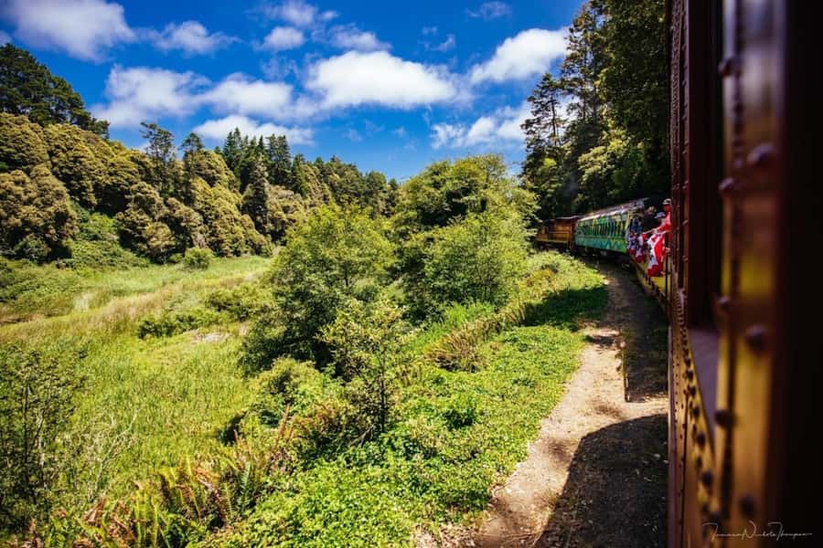 Mendocino County: Skunk Train Pudding Creek Train Ride - Historic Redwoods and Coastal Estuary Views