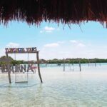 Mérida: Beach tour and restaurant with ocean view with a local guide - Key Points