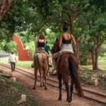 Mérida: Jungle & Cenotes Tour with Horseriding & Lunch - Starting Point at Hacienda Sotuta de Peón