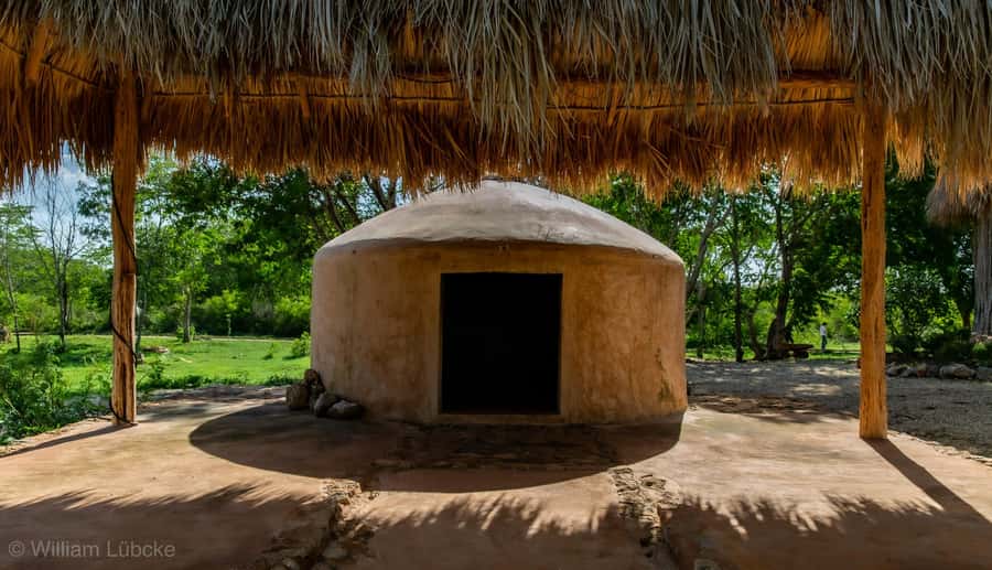 Mérida: Temazcal, Cenote, and Massage Experience - The Temazcal: Traditional Mayan Sweat Lodge in a Natural Setting