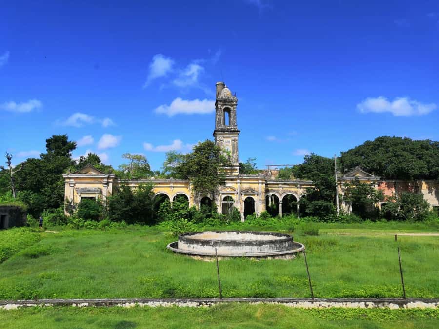 Mérida: Uxmal Tour with Sisal Plantation and Cenote Swim - Learning About the Sisal Fiber Industry at the Historic Plantation