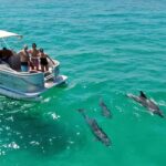 Merritt Island: 2-Hour Wildlife Boat Tour - What the 2-Hour Wildlife Boat Tour Includes