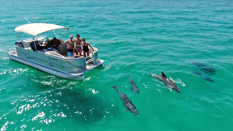 Merritt Island: 2-Hour Wildlife Boat Tour - What the 2-Hour Wildlife Boat Tour Includes