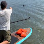 Merritt Island: Manatee Watching Paddle or Kayak Tour - Starting Point and How to Find the Meeting Location