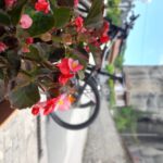 Meteora and Neanderthal cave Morning tour - Cycling Along Picturesque Vineyards to the Sarakina Bridge