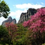 Meteora: Easy Hiking Adventure - Exploring the Hiking Path and Historic Monasteries