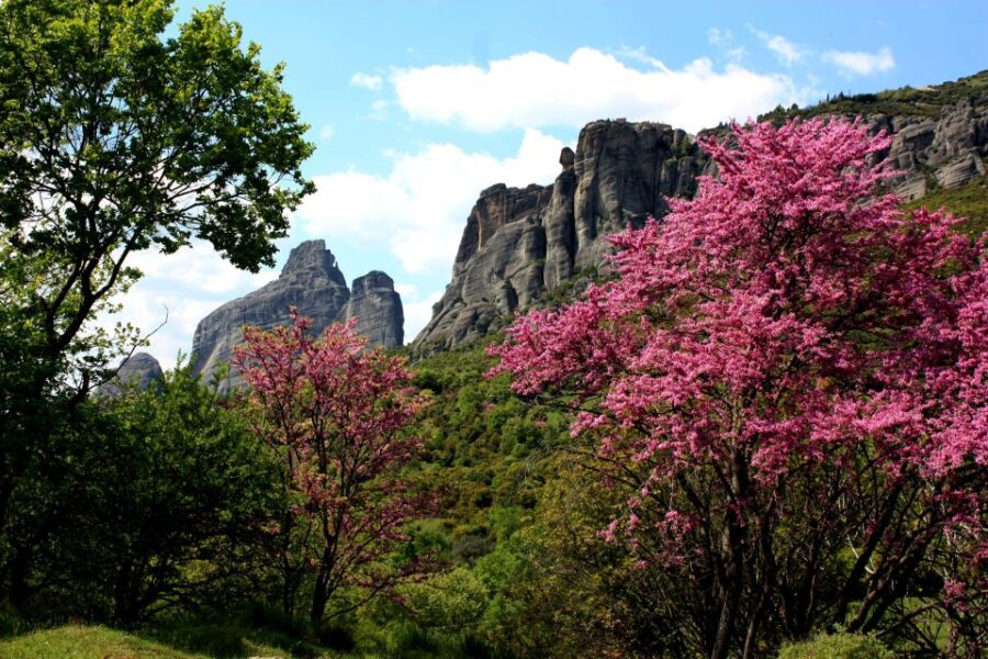 Meteora: Easy Hiking Adventure - Exploring the Hiking Path and Historic Monasteries
