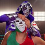 Mexican Lucha Libre Experience in Cozumel, Tacos and Margaritas - The Vibrant World of Mexican Lucha Libre in Cozumel
