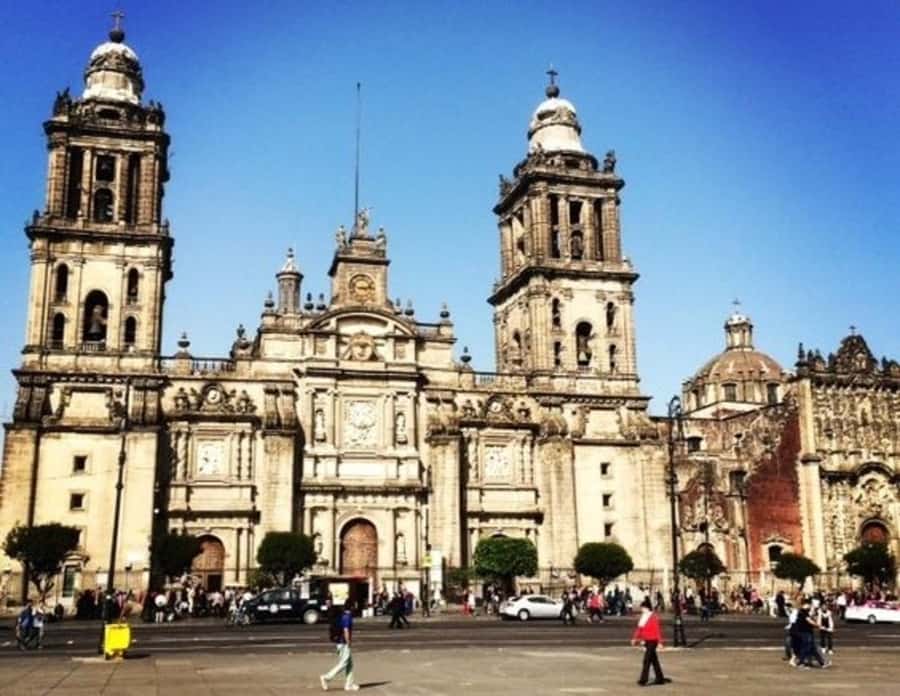 Mexico : Best Street Food Tour With A Local Guide - Exploring the Palace of Fine Arts and Its Artistic Heritage