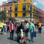 Mexico City: 10 Wonders of the Historic Center - Starting Point at GZ + P Arquitectos