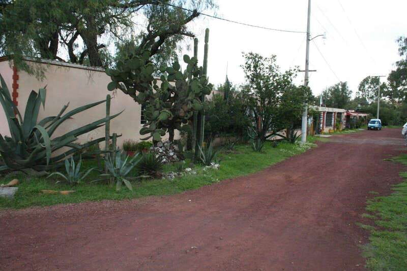Mexico City: Basilica and Teotihuacan Pyramids Tour - Visiting the Ancient Pyramids of Teotihuacan