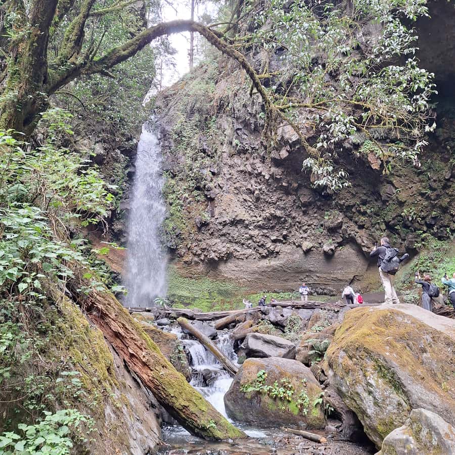 Mexico City: Bubble Waterfall Private Hike with Pickup - Starting Early: Pickup and Transportation Details