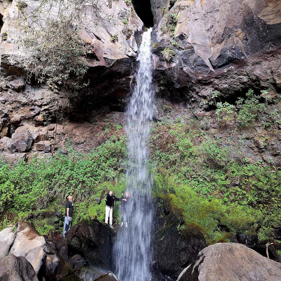 Mexico City: Cascada de Hueyapan Private Hiking Tour - How the Tour Combines Safety and Comfort