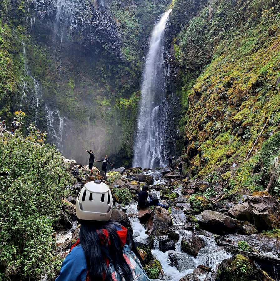 Mexico City: Diamond Waterfall Private Hiking Tour - Trekking Through Lush Pine and Oyamel Forests