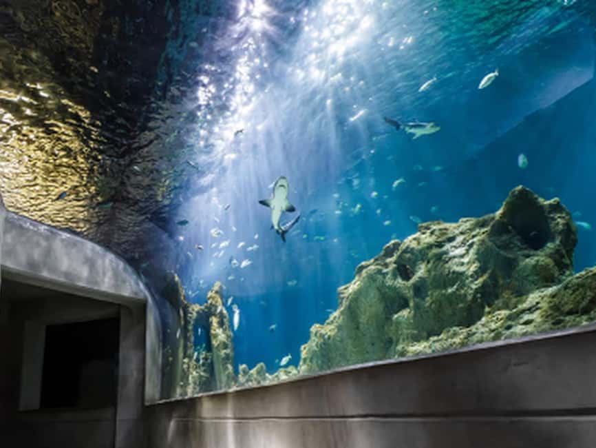 Mexico City: Entry Ticket to Acuario Michin - The Location of Acuario Michin in Parque Tepeyac