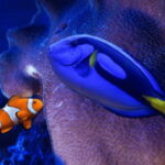 Mexico City: Fast Pass Ticket to Acuarium Inbursa - The Benefits of a Fast Pass at Inbursa Aquarium in Mexico City