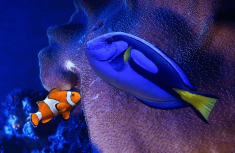 Mexico City: Fast Pass Ticket to Acuarium Inbursa - The Benefits of a Fast Pass at Inbursa Aquarium in Mexico City