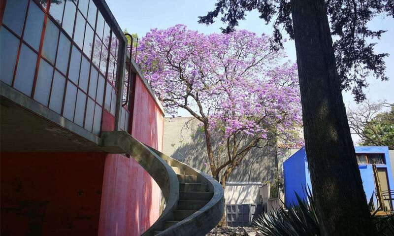 Mexico City: Frida Kahlo-Diego Rivera Studio House Tour - Convenient Hotel Pickup for a Seamless Experience