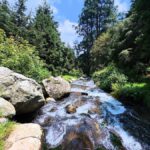 Mexico City: Guided Hike in the Dinamos Forest - Discovering the Last Living River in Mexico City