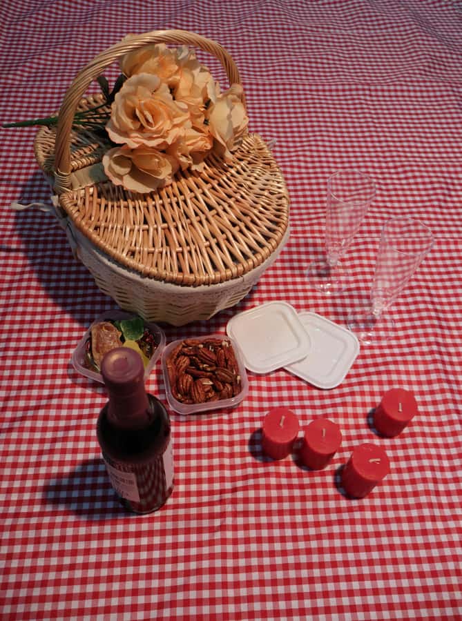 Mexico City: Hassle Free and ready to use Picnic Experience - How the Fully Equipped Picnic Basket Simplifies Your Day