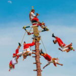 Mexico City: Private Chapultepec Park Bike Tour - Starting Point at Estela de Luz for a Smooth Begin