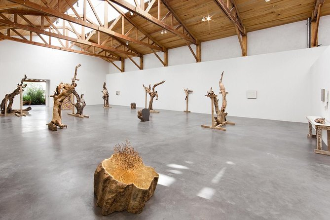 Mexico City Private Gallery Tour - Starting Point in Colonia Roma: Monterrey 104