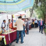 Mexico City Street Food: A Beginner's Guide - How the Guide Elevates the Experience