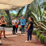 Mexico City: Teotihuacan, Tlatelolco & Basilica of Guadalupe - Exploring Tlatelolco: Mexico’s Ancient and Modern Heritage