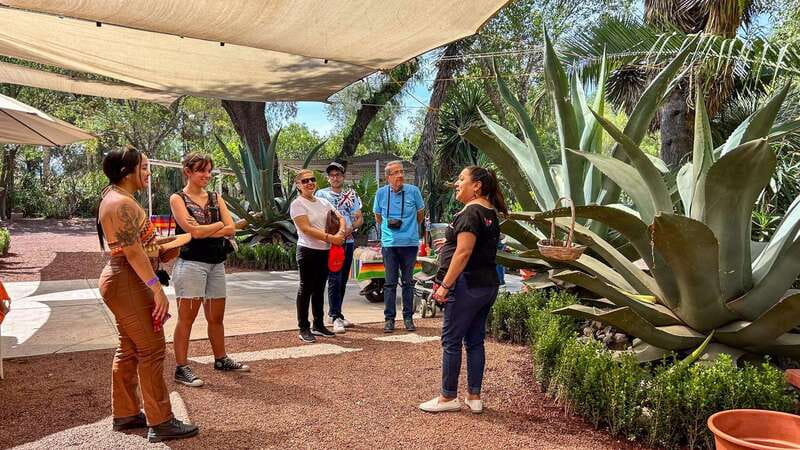 Mexico City: Teotihuacan, Tlatelolco & Basilica of Guadalupe - Exploring Tlatelolco: Mexico’s Ancient and Modern Heritage