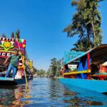 Mexico City: Trajinera Party with Drinks, Music, and Mexican Snacks - Meeting Point and Logistics for Self-Arrivals