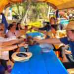 Mexico City: Xochimilco All-Included Boat Party Tour - What Makes the Trajinera a Colorful Floating Party