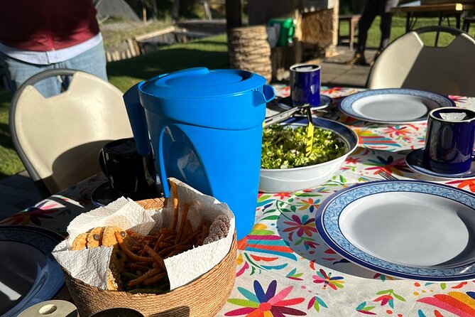 Mexico City: Xochimilco at sunrise + Breakfast and transportation - The Experience of Dawn in the Canals