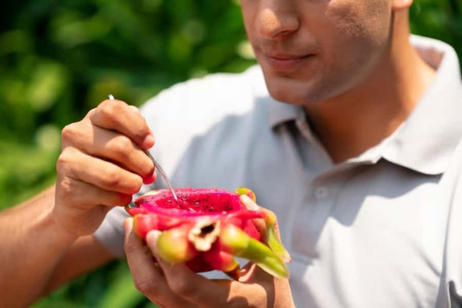 Mexico's Tropical Fruit Guided Tasting in Mexico City - From the Market to the Table: Mexico Citys Traditional Farmers Market
