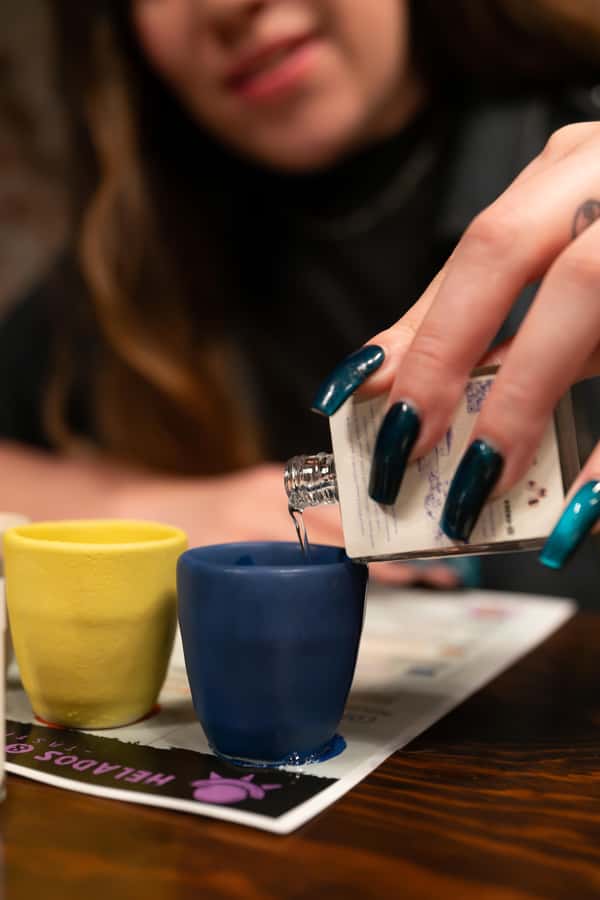 Mezcal & Agave Spirits Ice Cream Pairing Mexico City - The Venue: A Private House in Mexico City