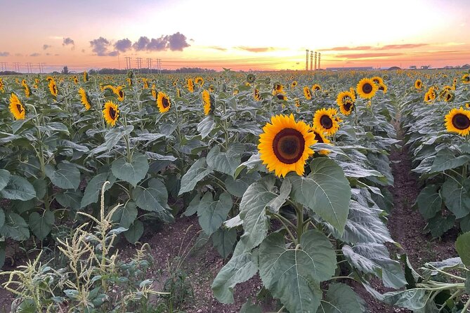 Miami ATV Adventure- Free Passenger & Ski Mask - The Location and Meeting Point for the ATV Tour