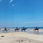 Miami: Beach Horse Ride & Nature Trail - Riding Through Virginia Key Beach Park’s Nature Trail
