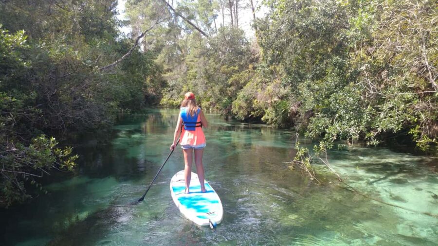 Miami: Biscayne Bay Ultimate Boat Tour with Kayak Experience - Departure Point at Venetian Marina Behind the Marriott Hotel