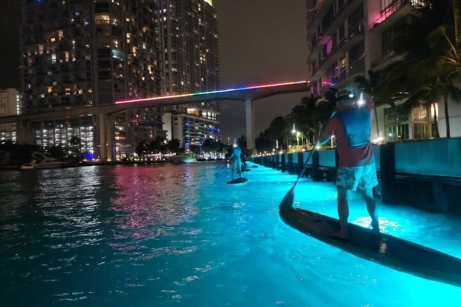Miami: City Lights SUP or Kayak Night Tour - Starting Point in Downtown Miami