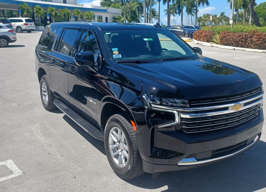 Miami City Tour - Discover Miami’s Art and Trendy Districts