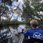Miami: Clear Kayak Eco Tour with Guide and Wildlife - Navigating Through Mangrove Tunnels: A Close-Up View